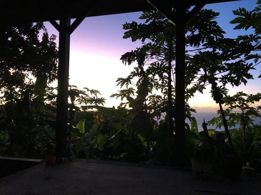 Location Open Sky Daire Deshaies Dış mekan fotoğraf
